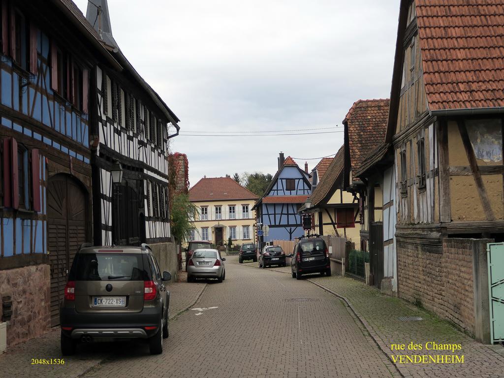 La Cour Des Amis Vendenheim Exterior foto